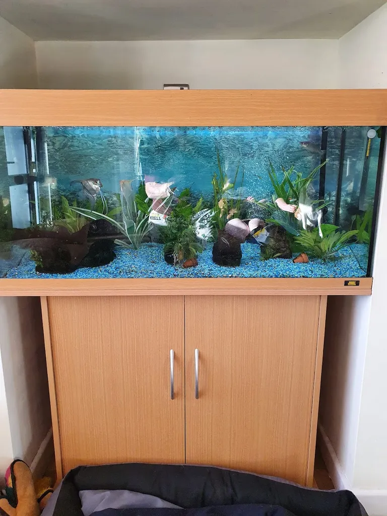 All Pond Solutions
