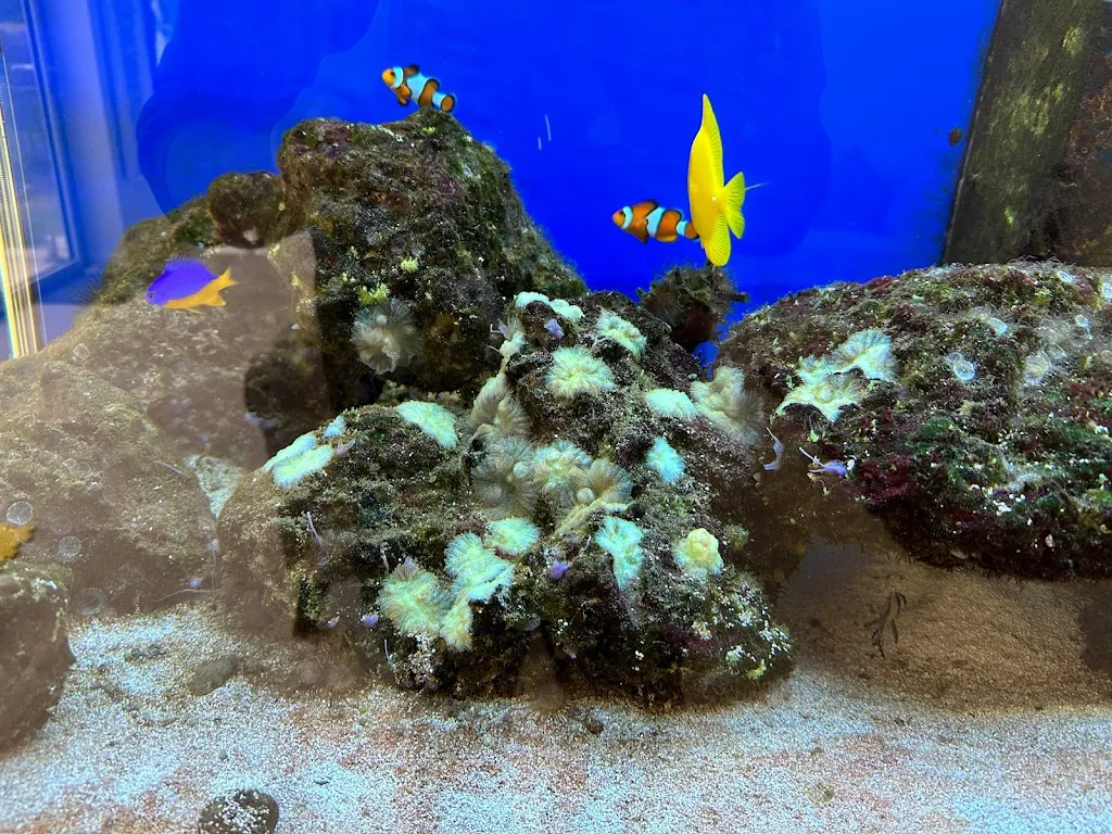 Aquari Aqua Care