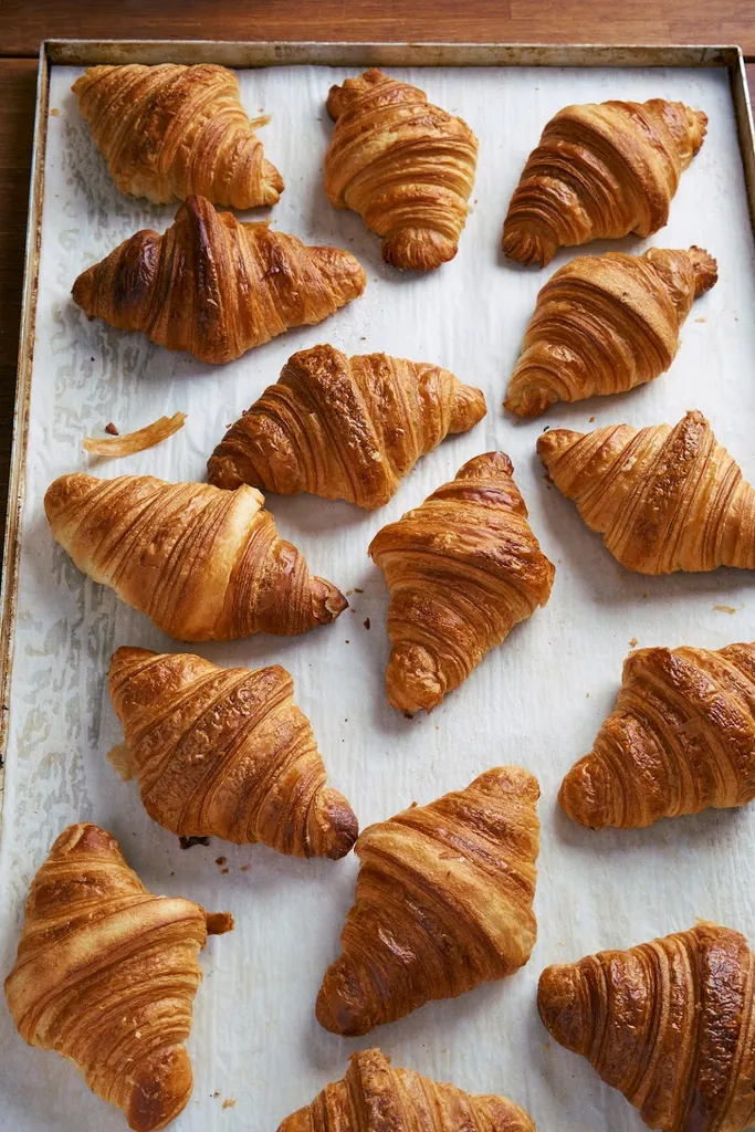 Bakehouse by Signorelli