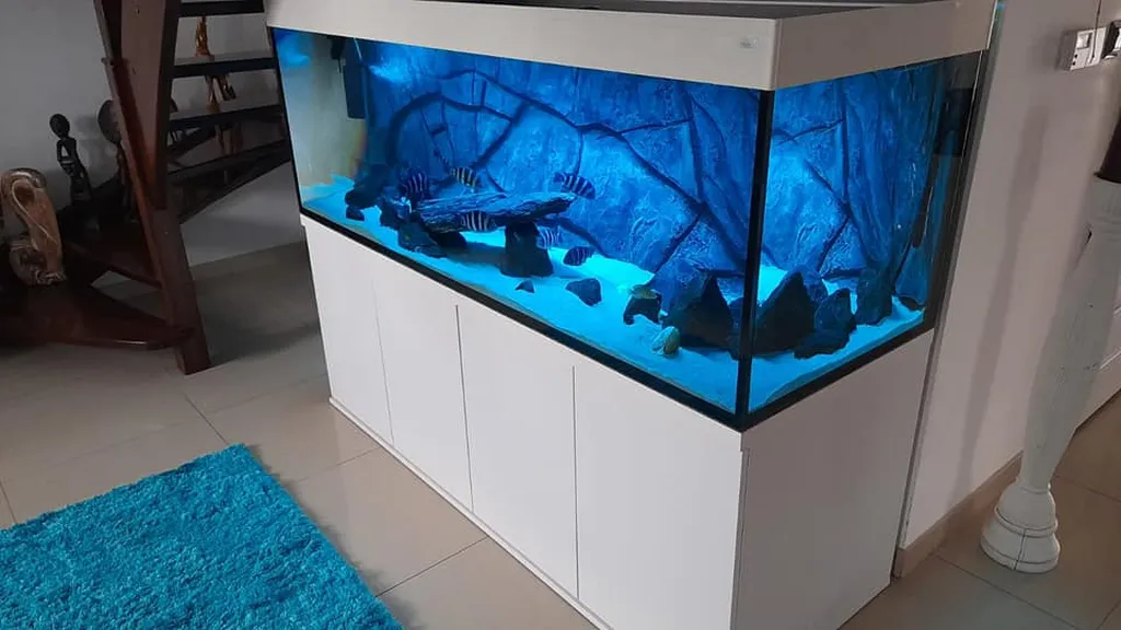 BettaGlass