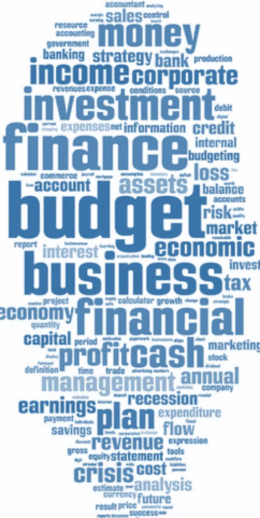 Biz Accounting Ltd