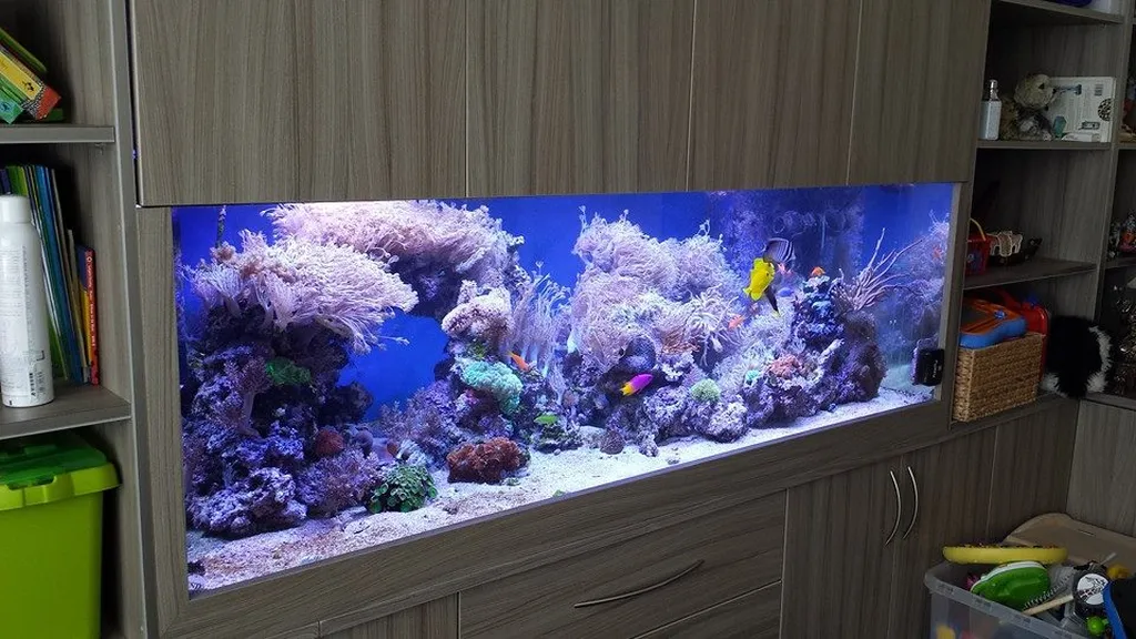 Fanatic Aquatic Design Ltd