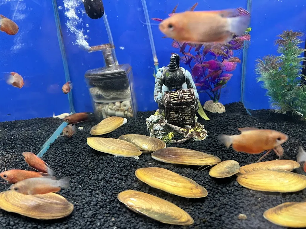 Fish Planet London