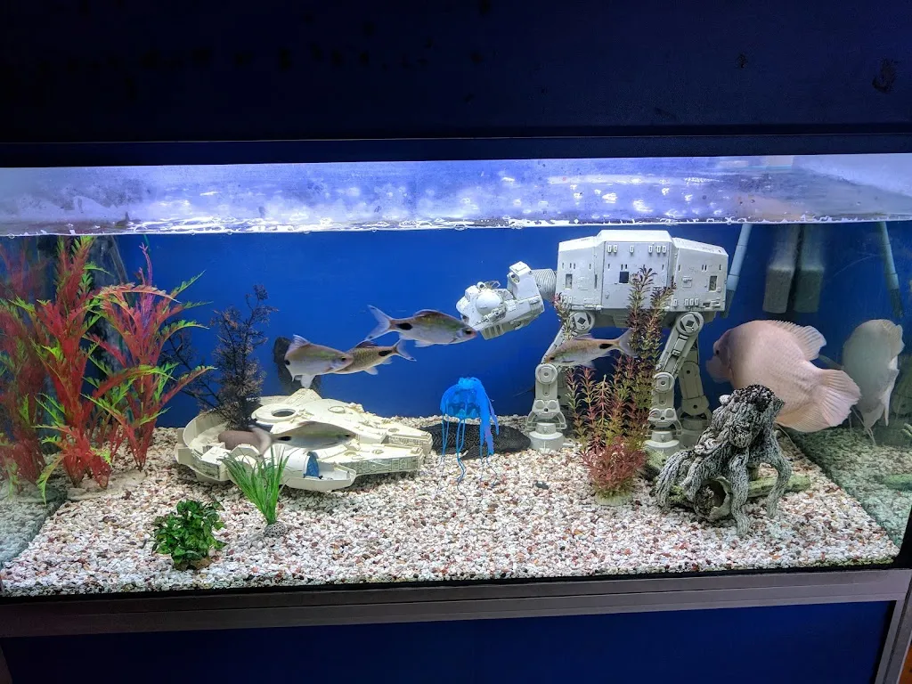 Kingfisher Aquatics Ltd