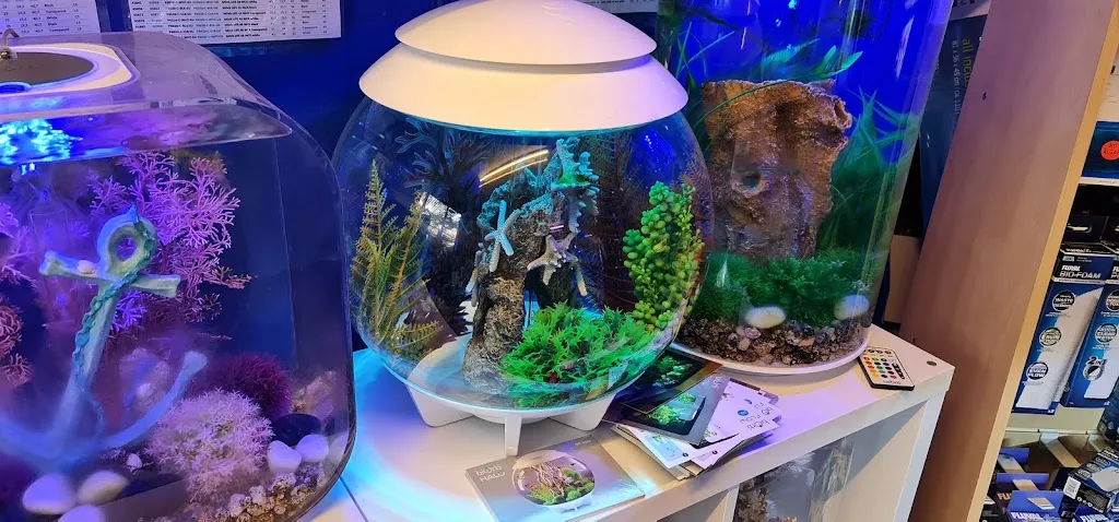 Kingfisheries (Aquarium) Ltd