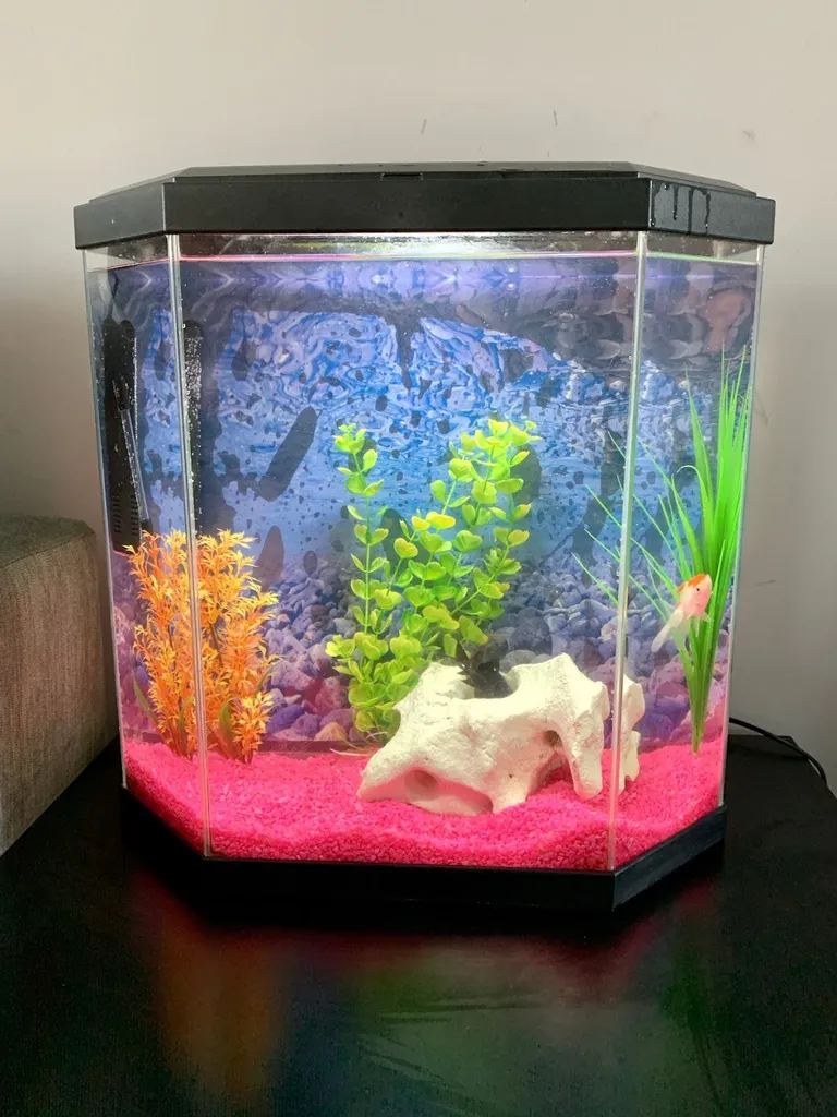 Latchford Farm Aquatics