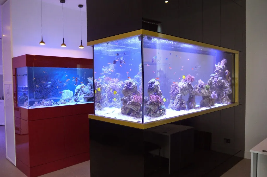London Aquariums