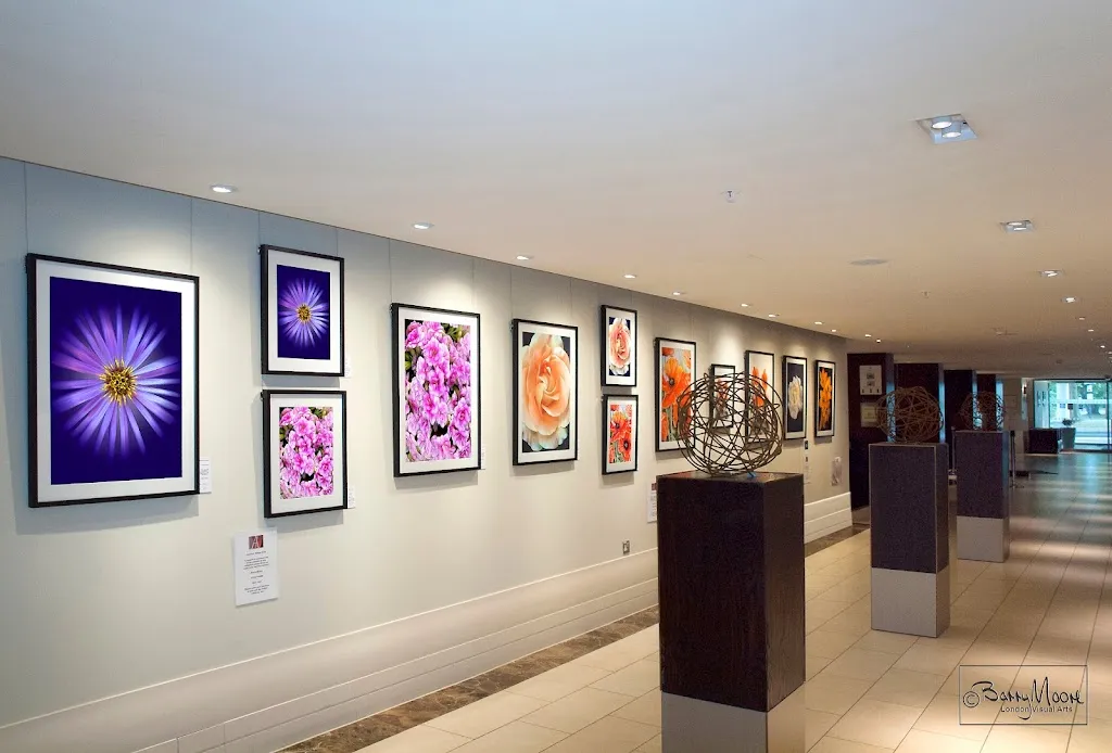 London Visual Arts
