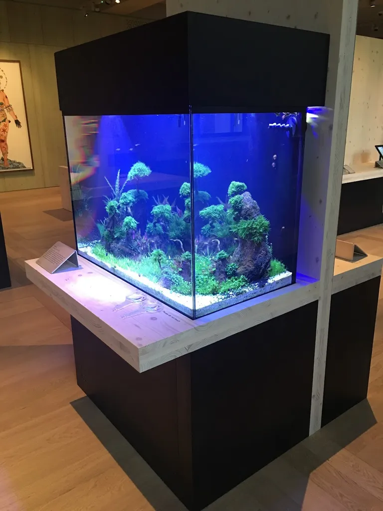 NewWave Aquatics - Aquatics Design and Maintenance