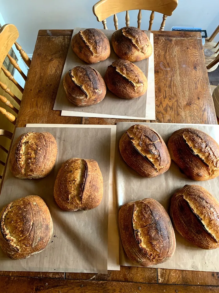 Robins Bakery & Provisions