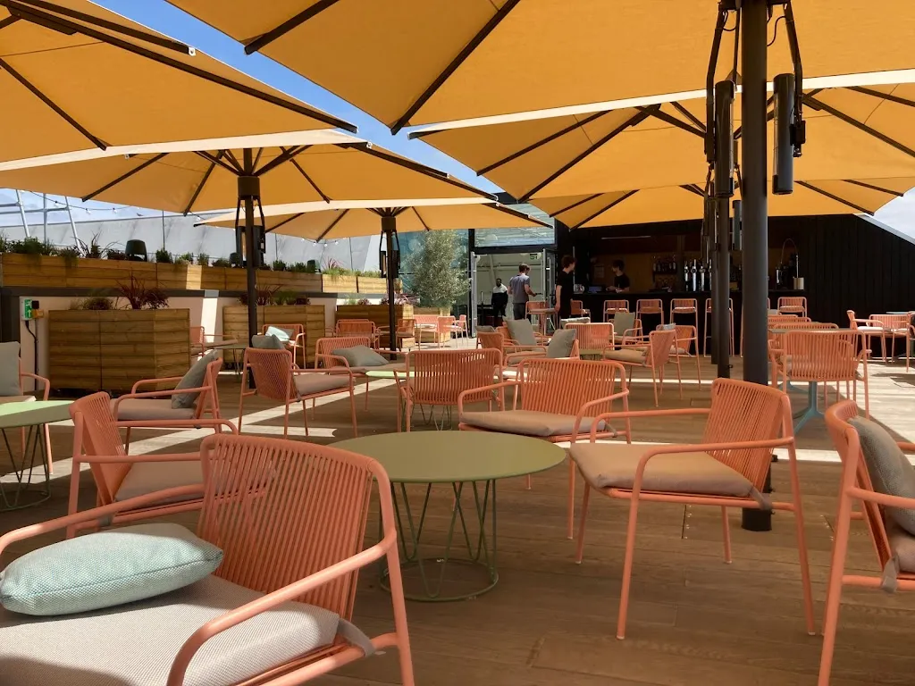 Rooftop at Curzon