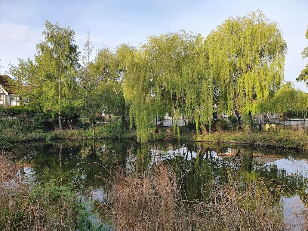 Ruislip Duck Pond
