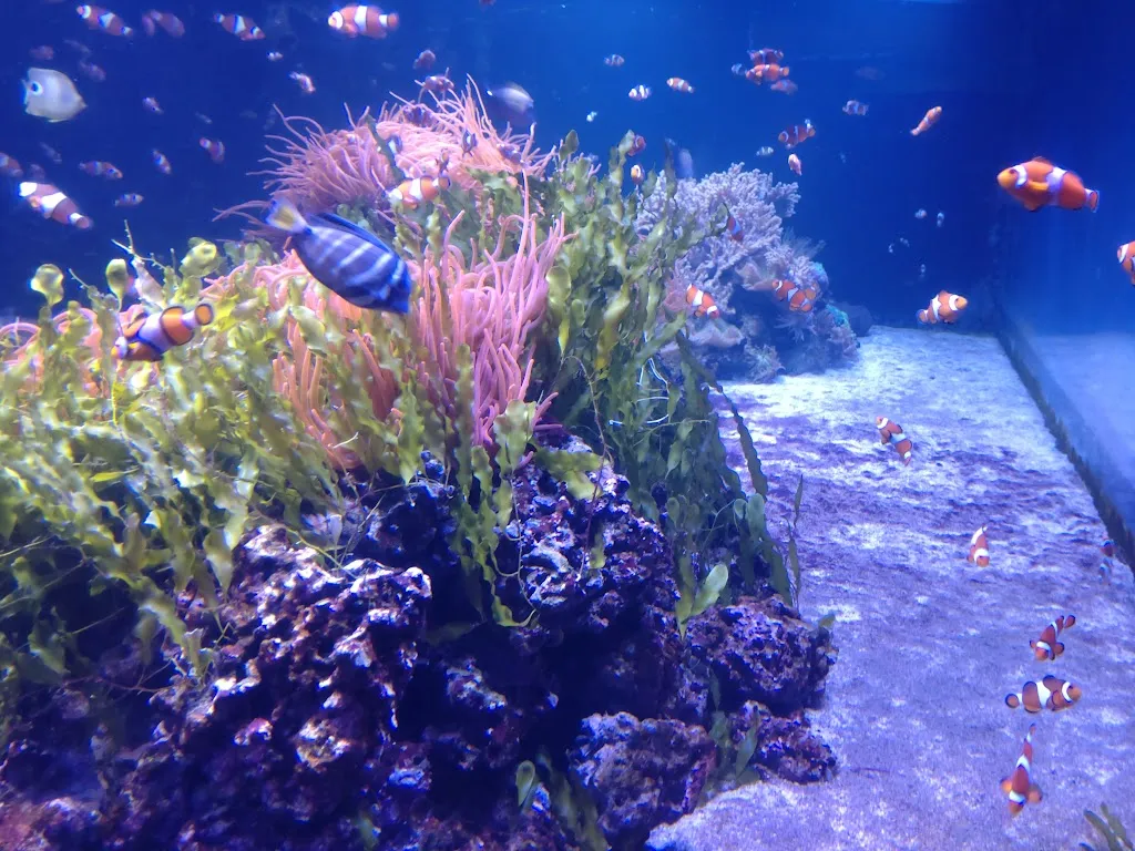 SEA LIFE London Aquarium Entrance