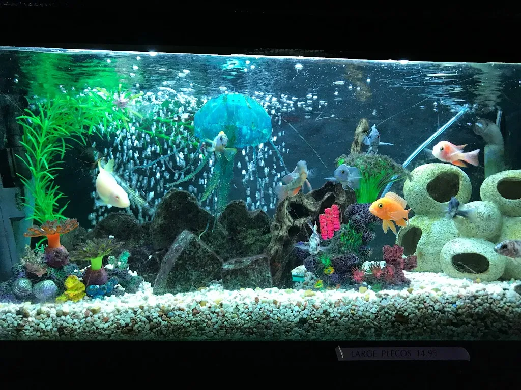 Smallholders Pet , Garden & Aquatic Centre
