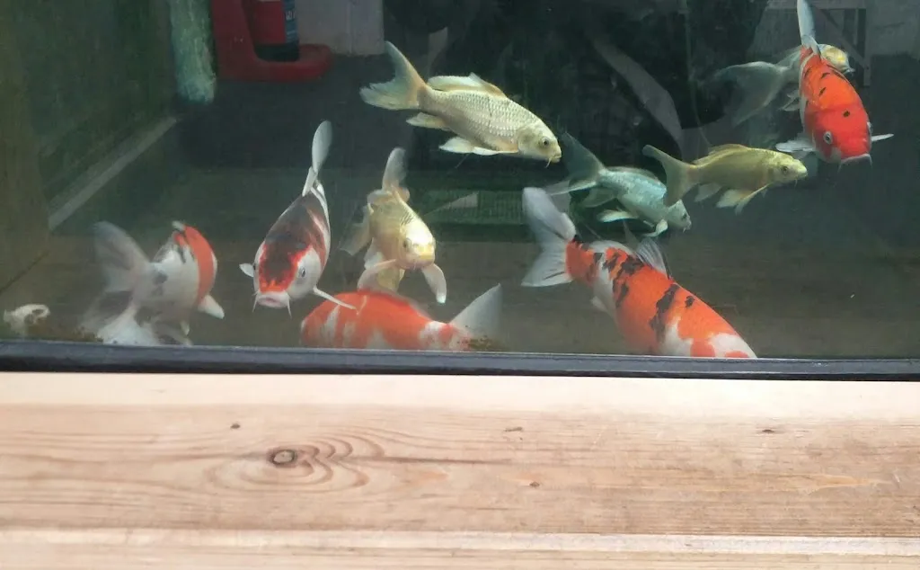 Squire’s Garden Centre