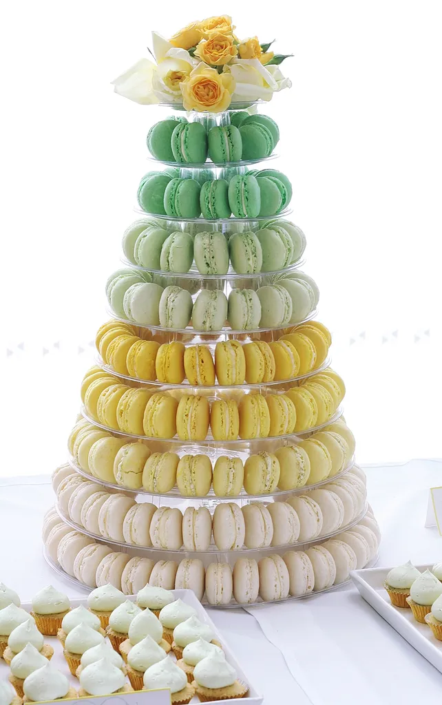 Sugared Saffron Cake Studio