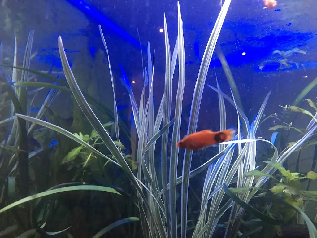 T&L Aquaworld
