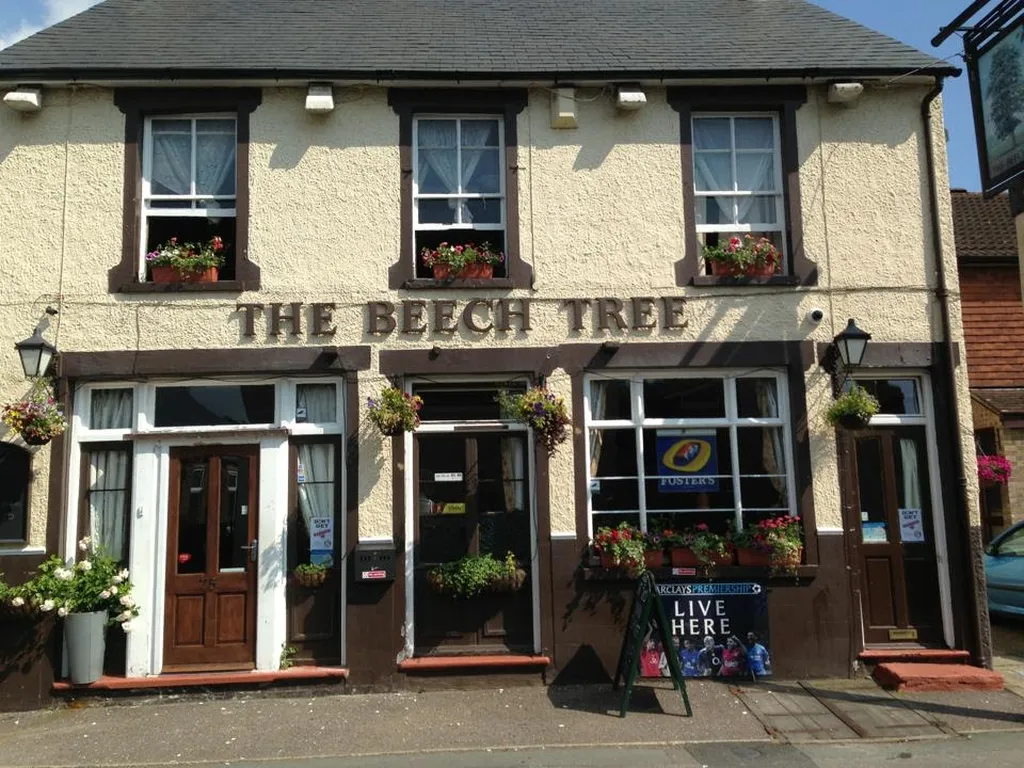 The Beech Tree