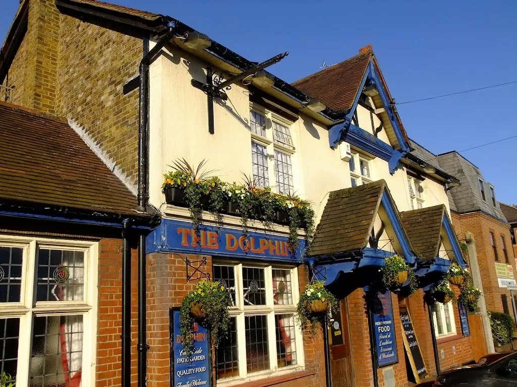 The Dolphin