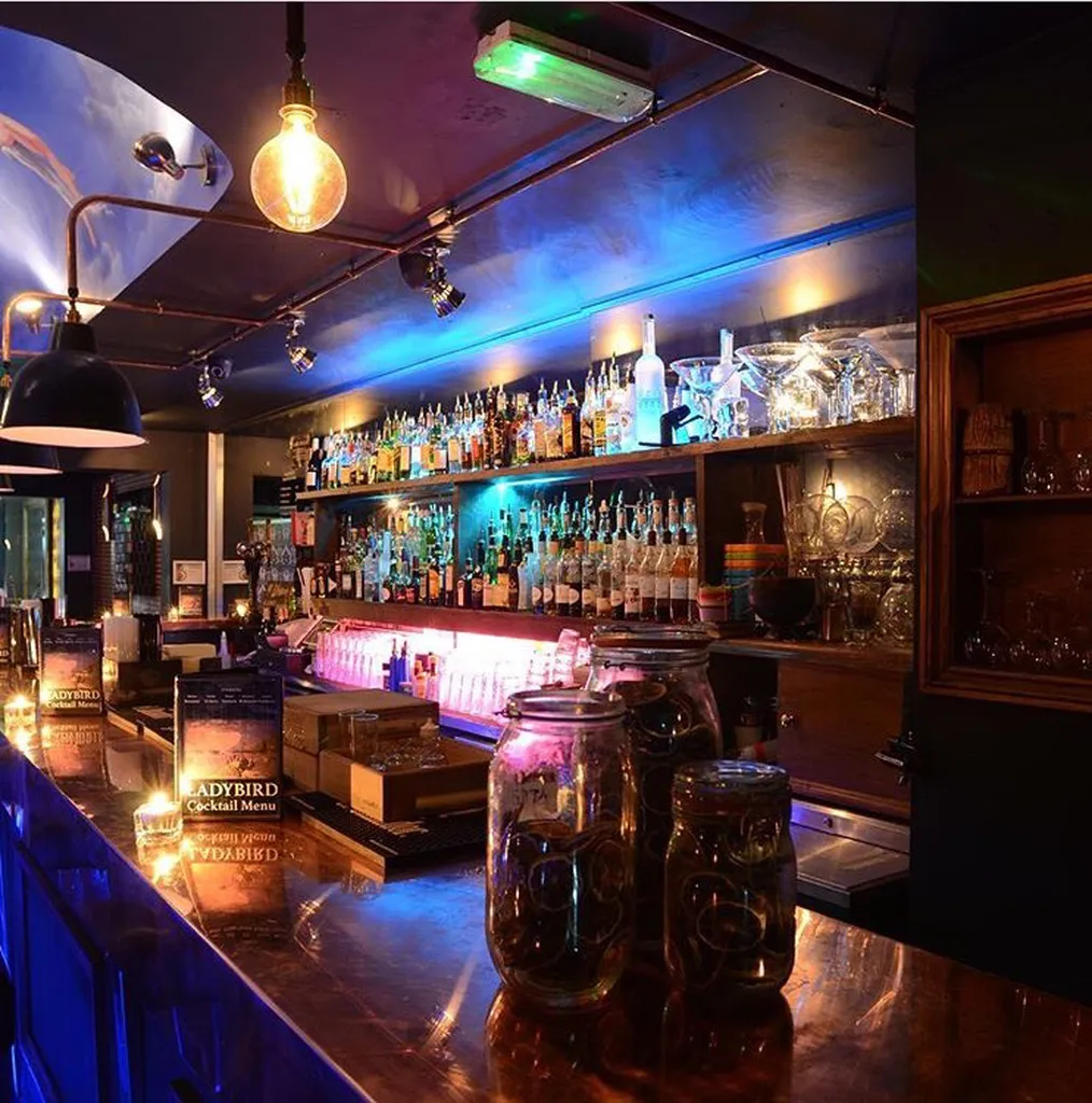 The Ladybird Bar (Cocktail Bar & Club)