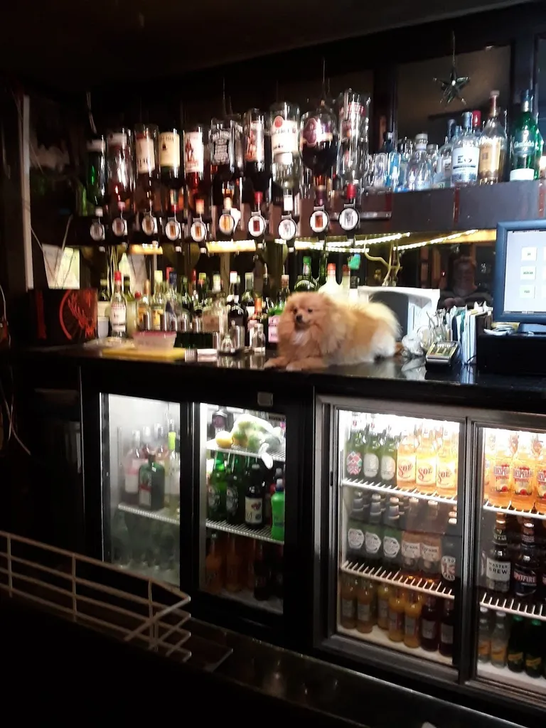 The Wickham Arms