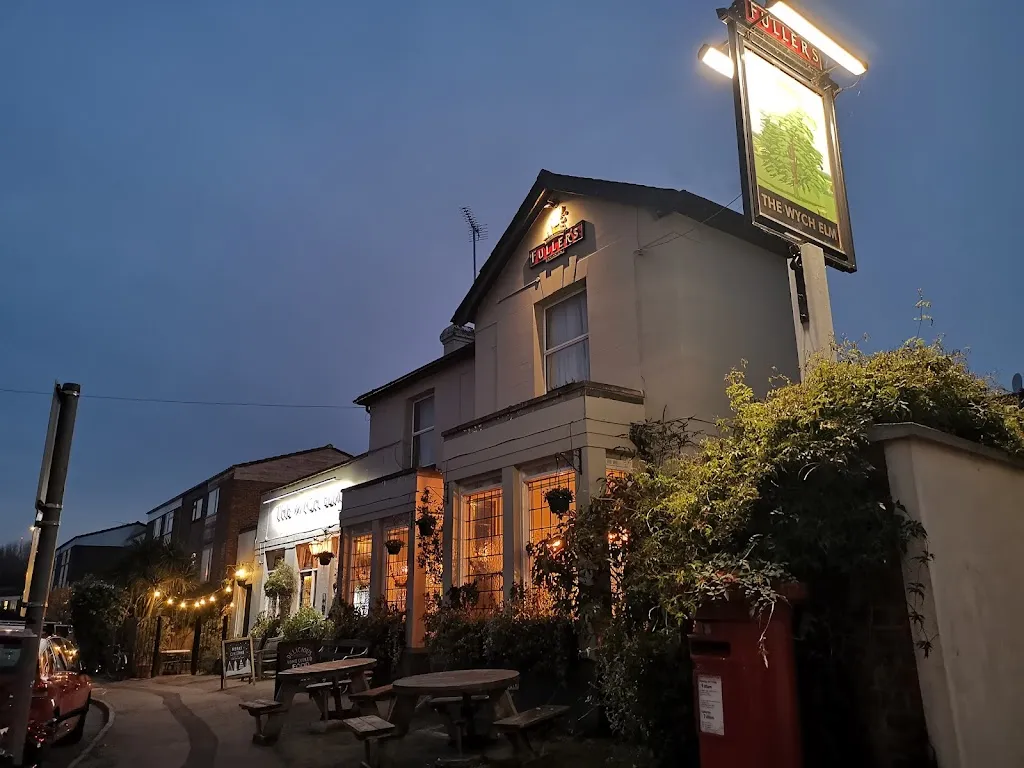 The Wych Elm