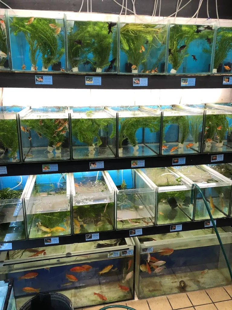 Unicorn Pet & Aquatics