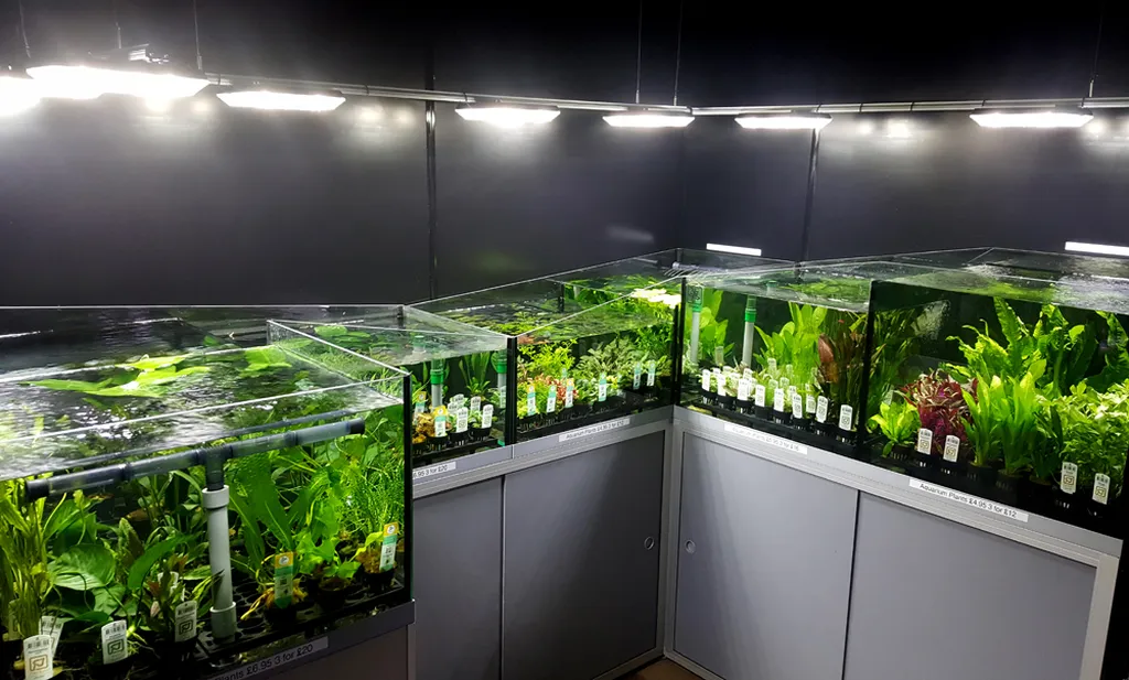 Wildwoods Water Garden Centre (Part of The World of Water Group)