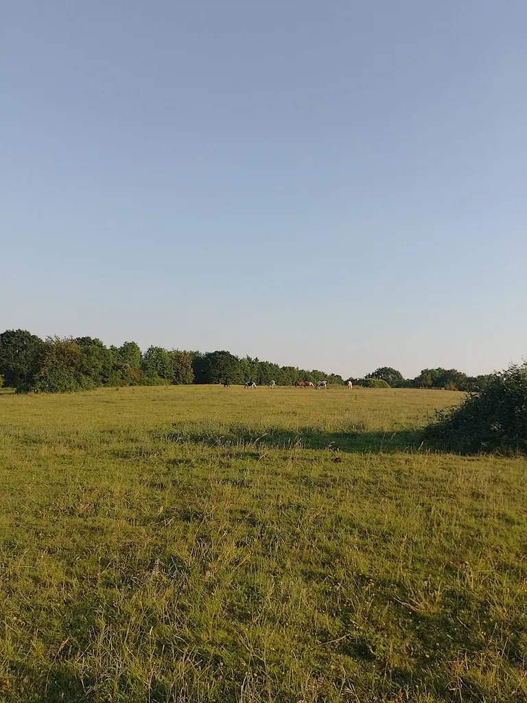 Winey Hill