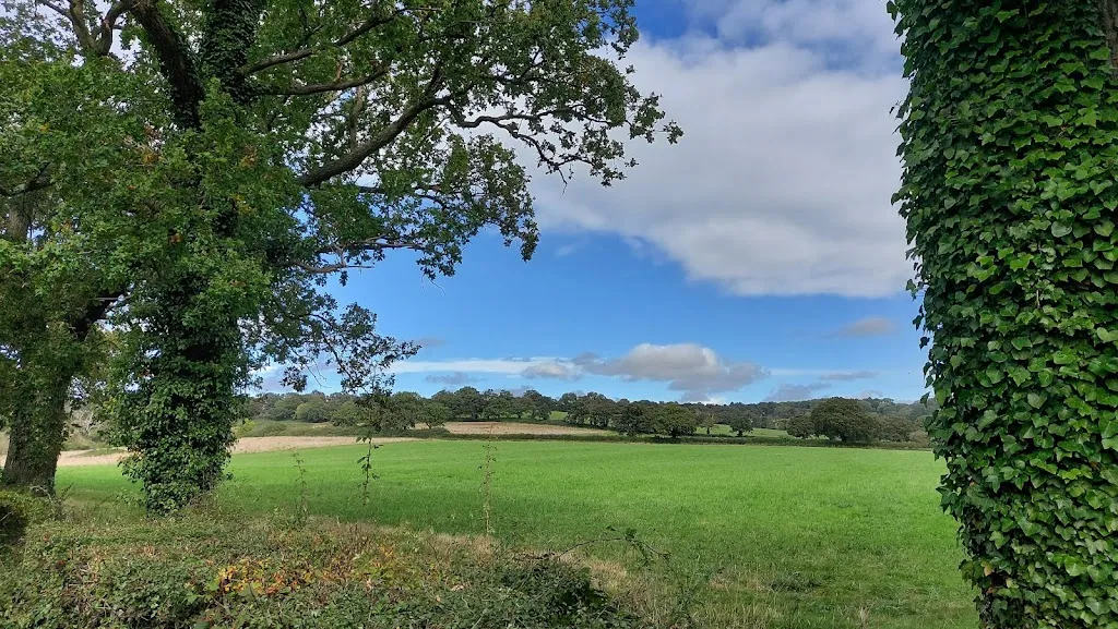 Bannister Playing Fields (Stop N)