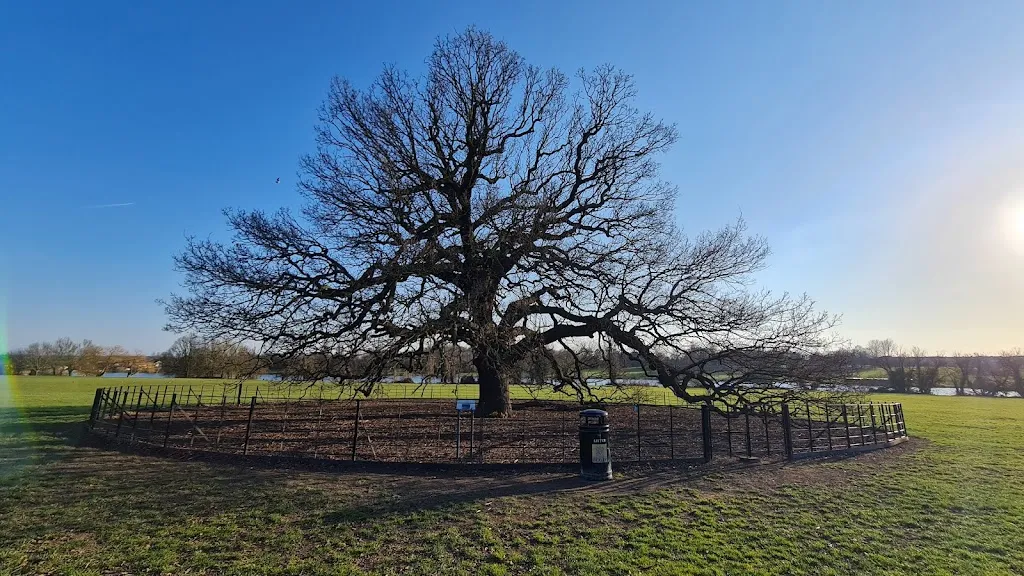 Bexley’s Charter Oak