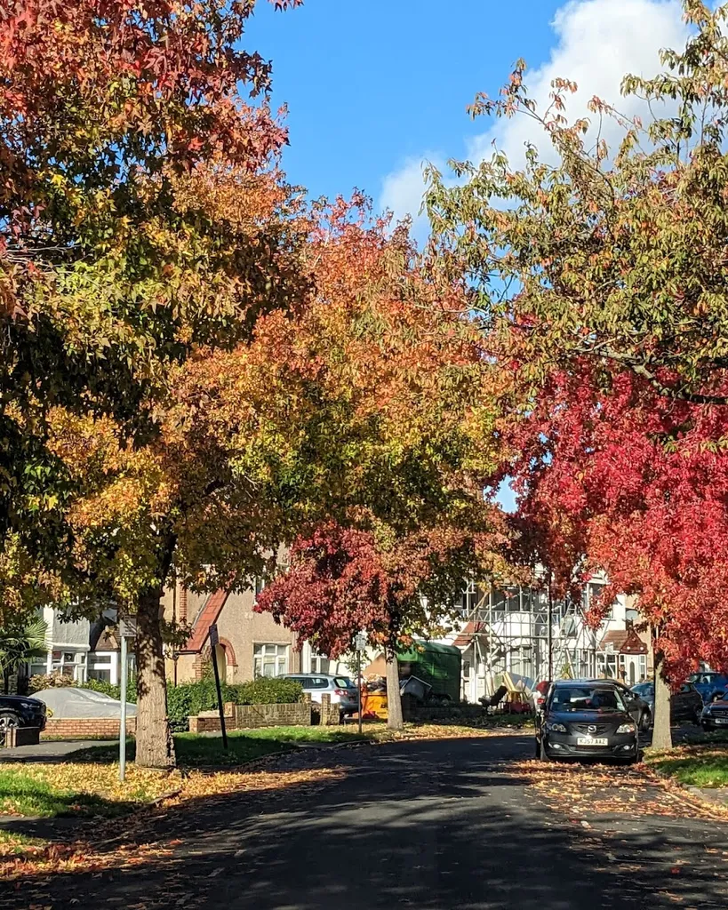 Bridge Road