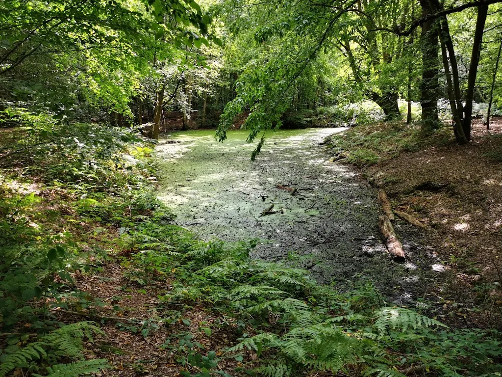 Camlet Moat