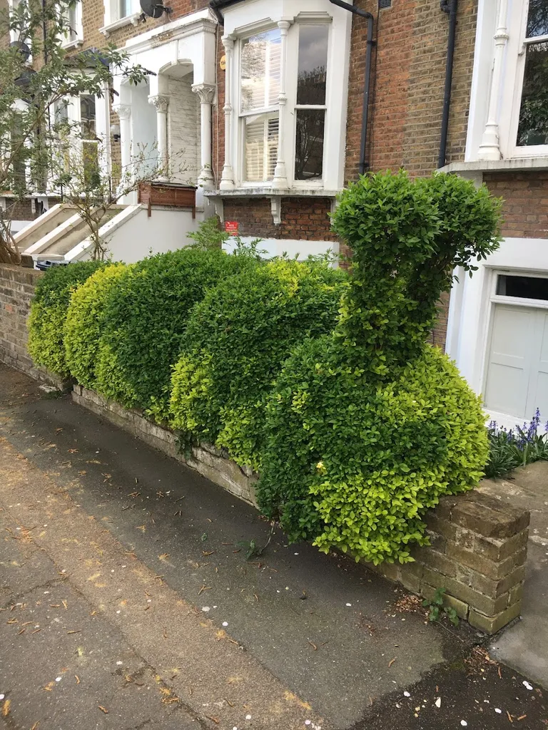 Caterpillar hedge