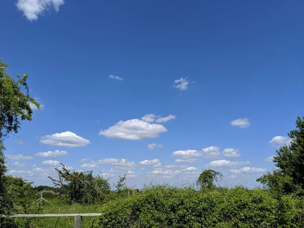 Chelsfield Green