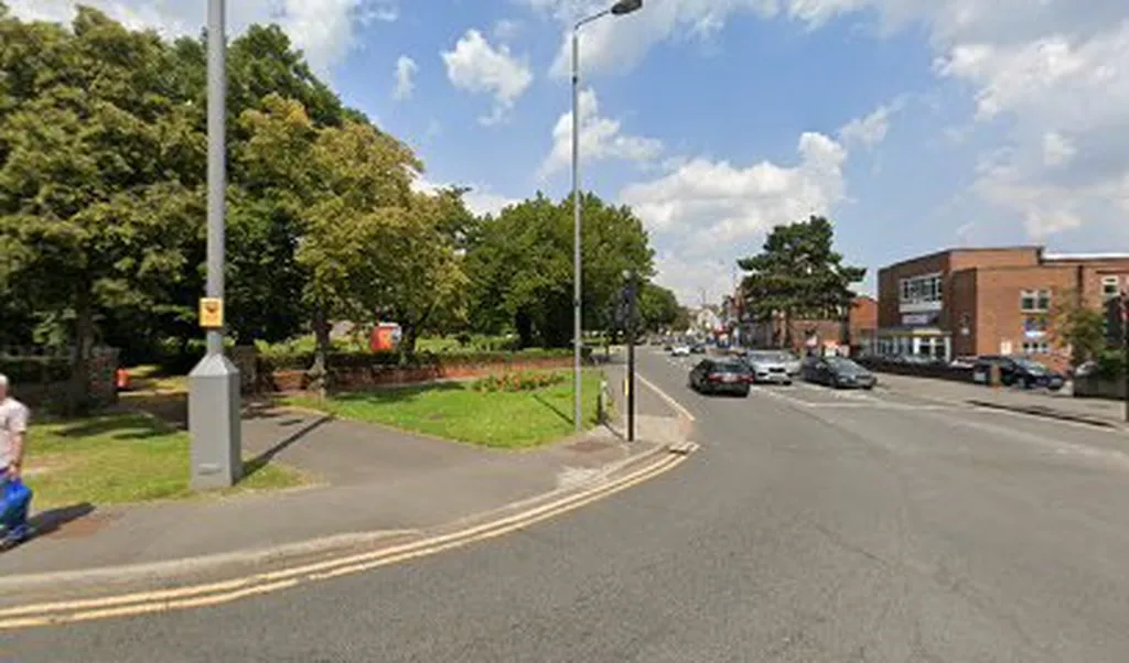 Chingford Green Christmas Tree