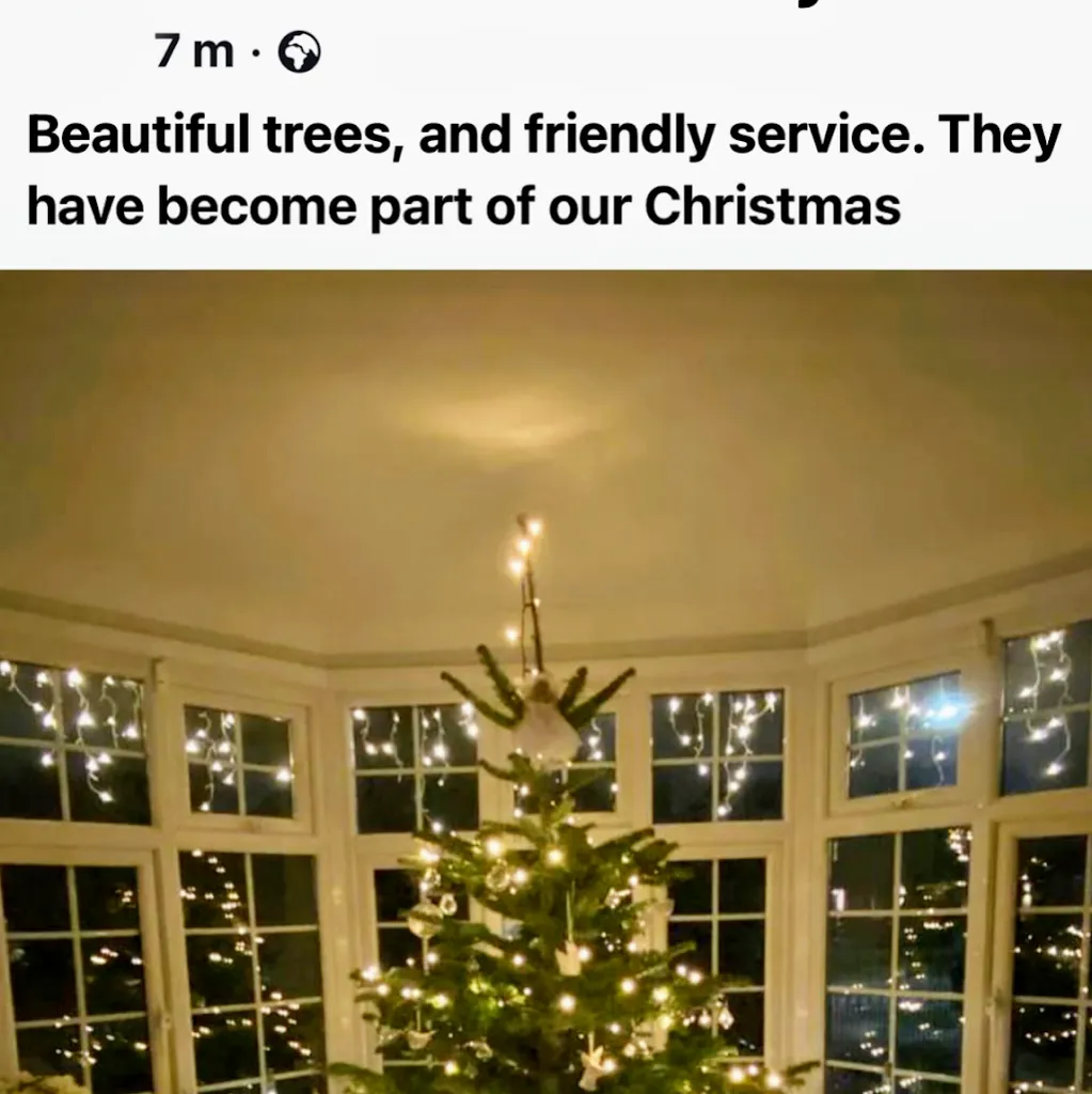 Christmas Trees Bromley