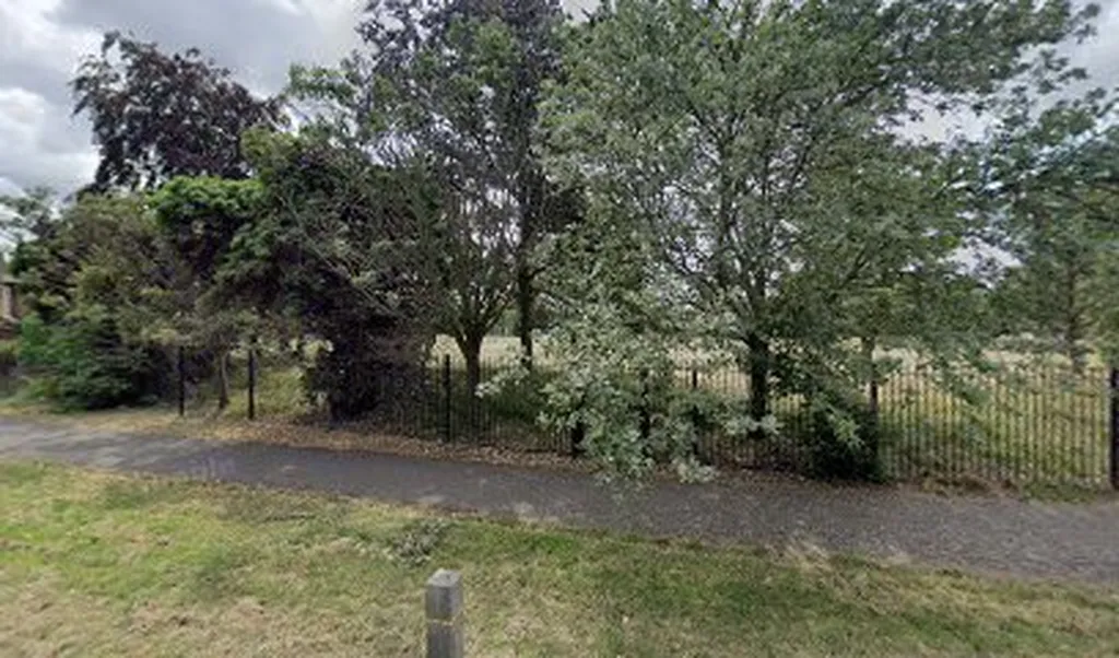 Coney Green (Stop UM)