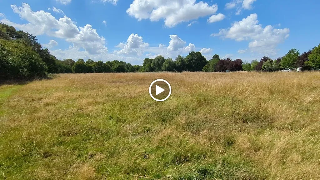 Cranmer Green Nature Reserve