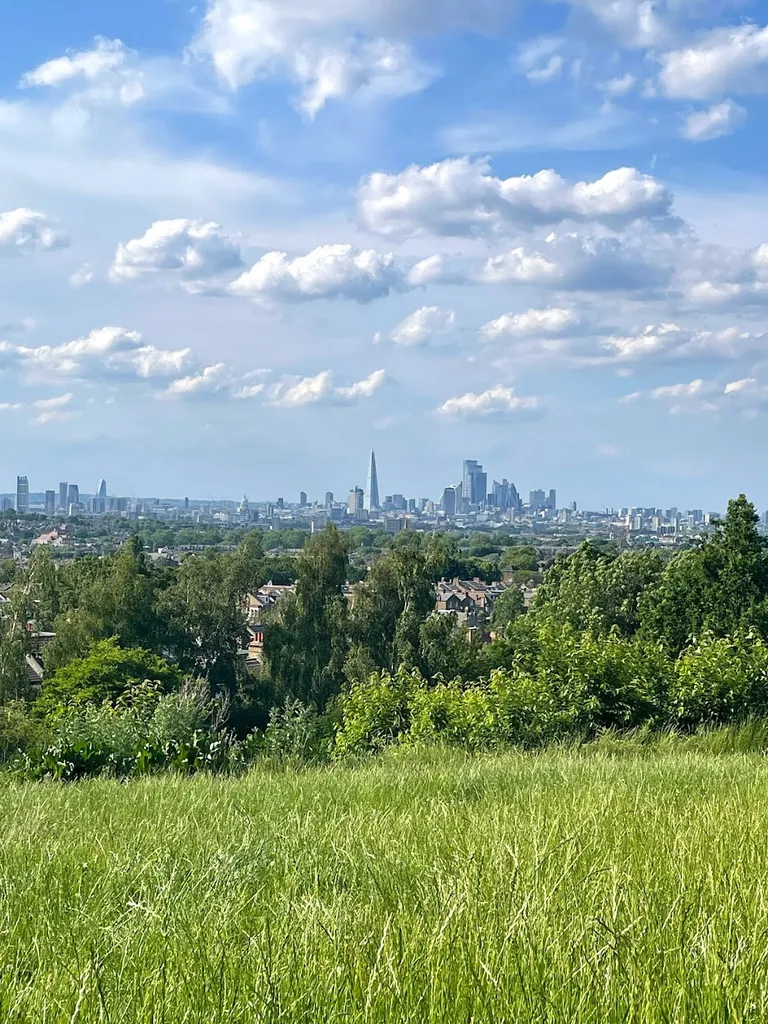 Dawson's Hill