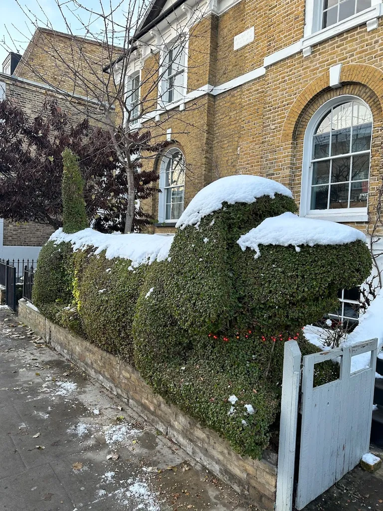 Dog Hedge