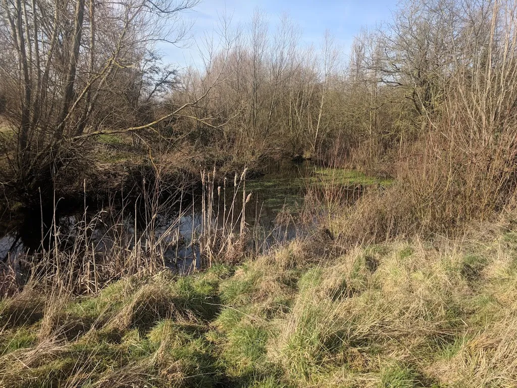Down Barns Moated Site