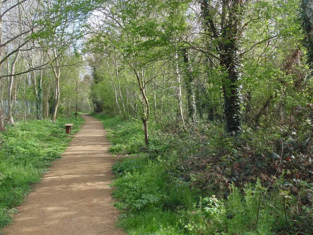 Eardley Road Sidings Nature Reserve