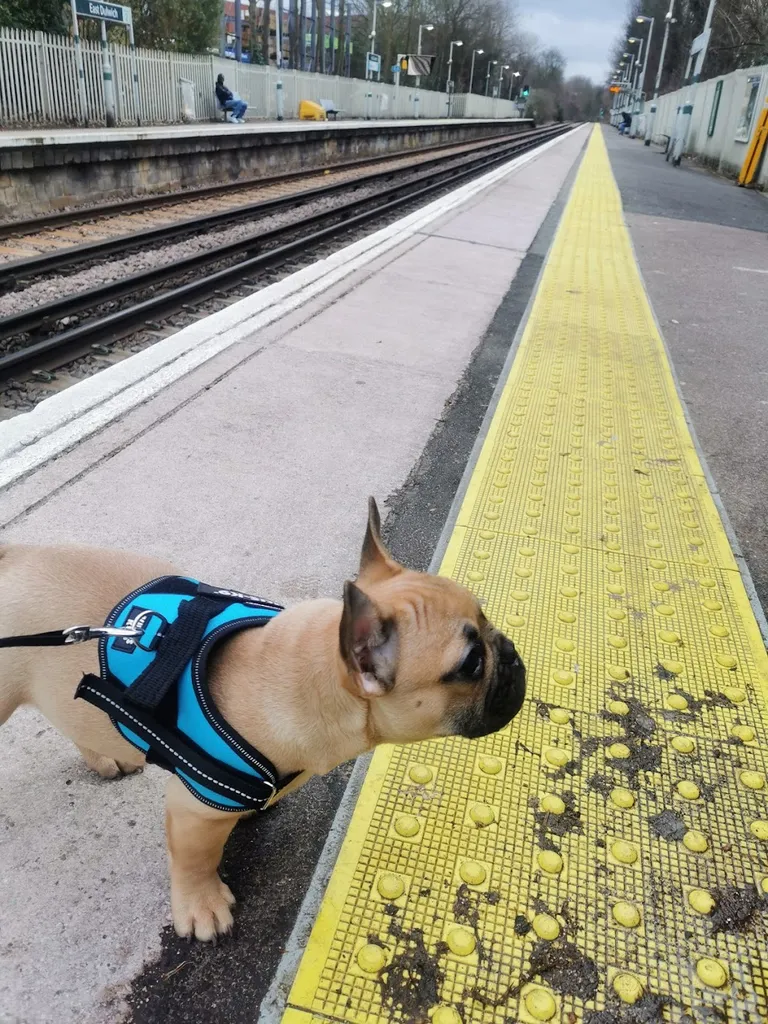 East Dulwich Train Station - Southern Railway