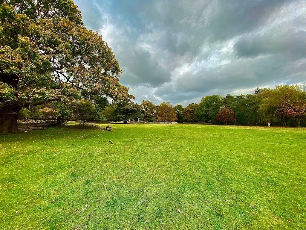 Essex Wildlife Trust, Bedfords Park Nature Discovery Centre