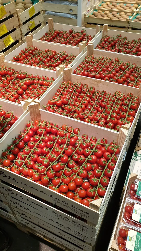 First Choice Fruit & Produce