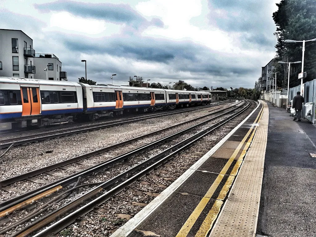 Forest Hill