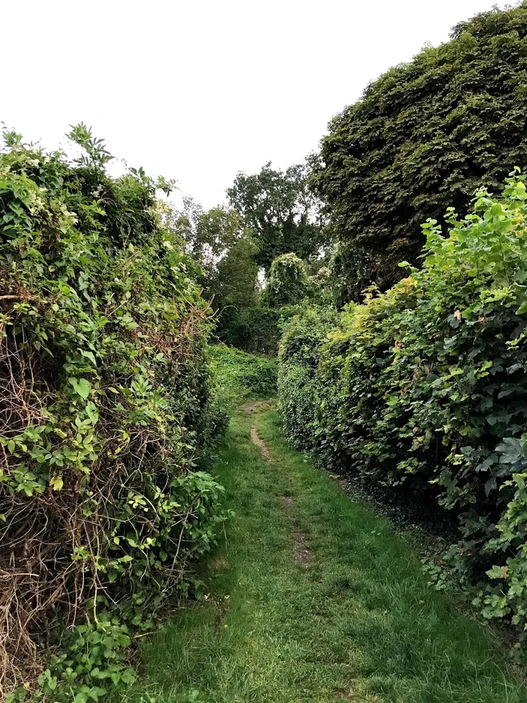 Foxley Wood, Purley