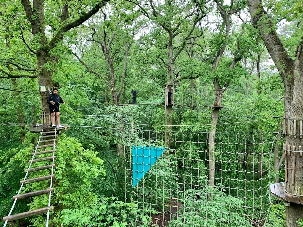 Go Ape Cockfosters