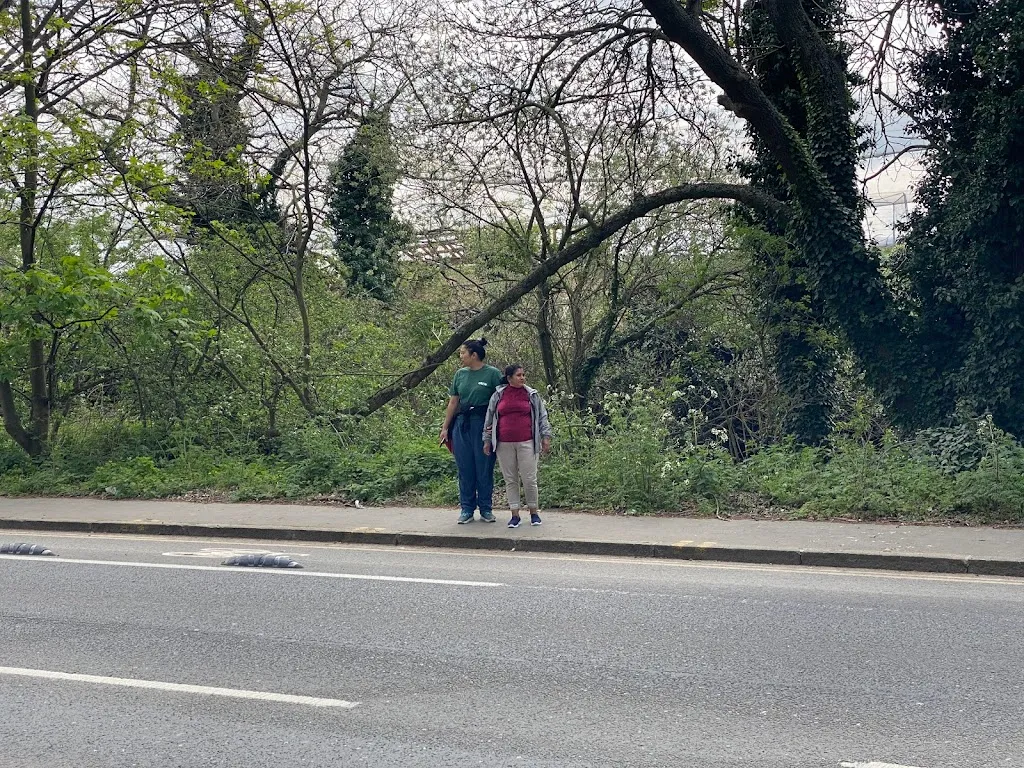 Green Lane (Stop A)